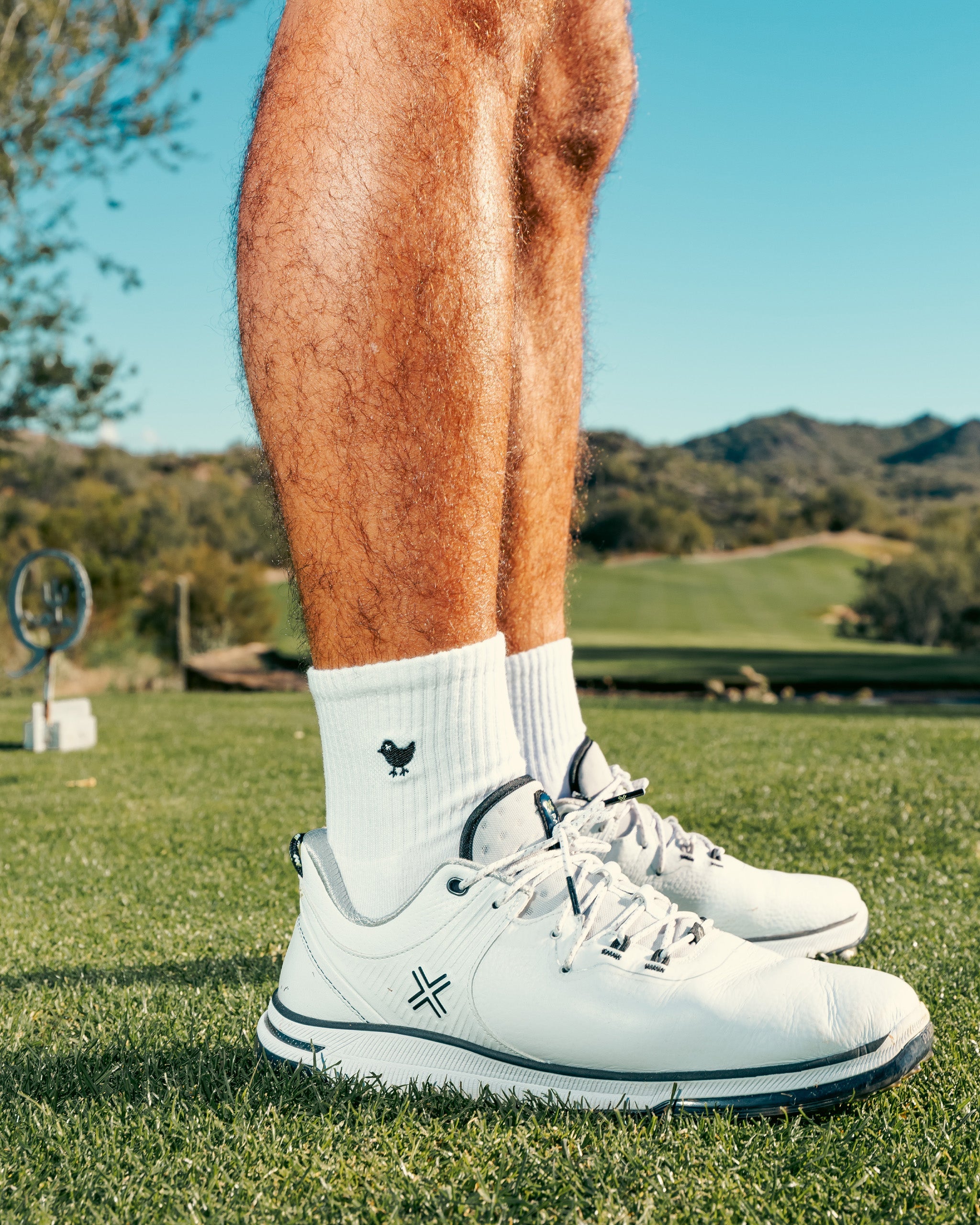 Birdie Socks-Socks-Bad Birdie