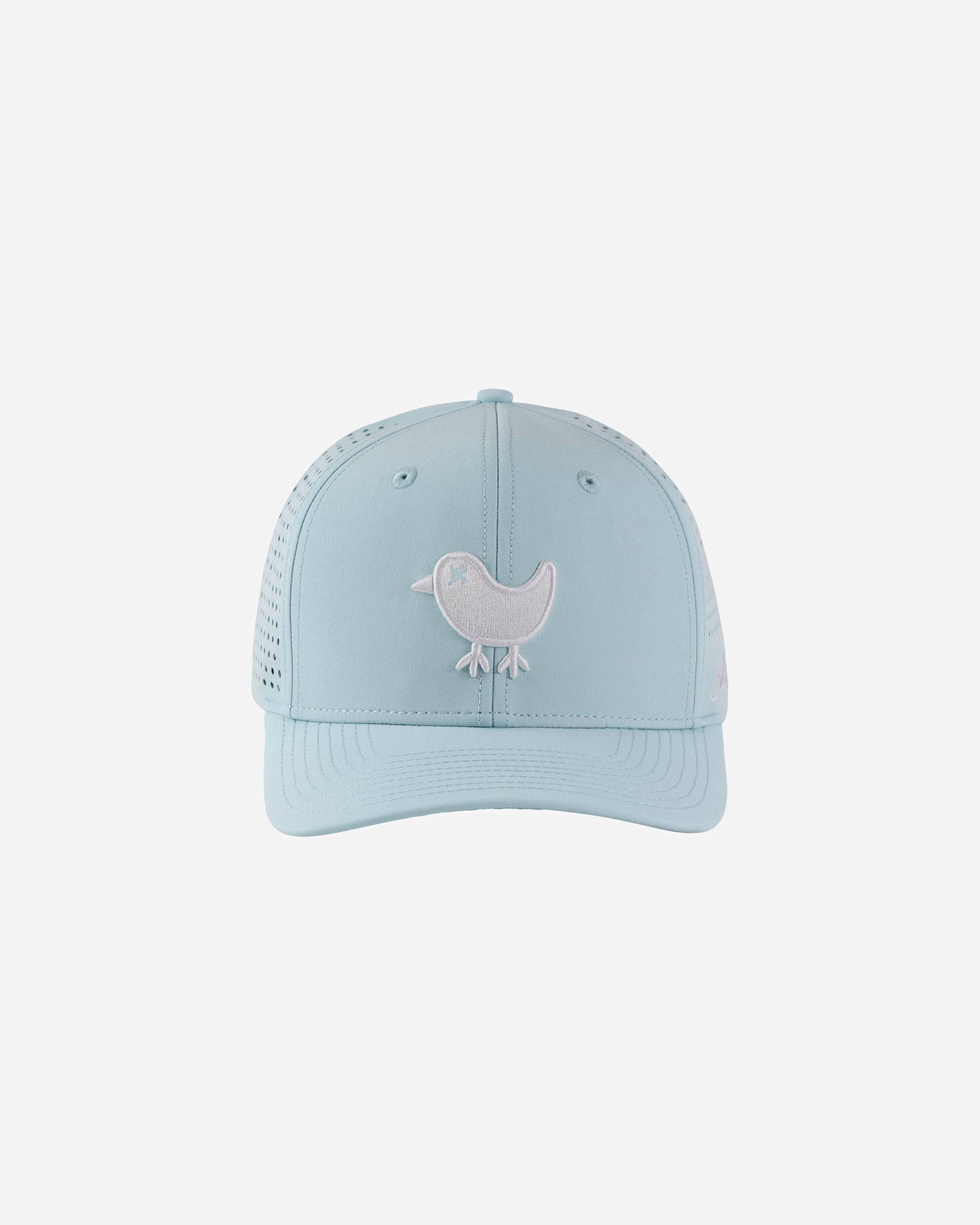 Birdie Snapback - Cool Blue-Hat-Bad Birdie