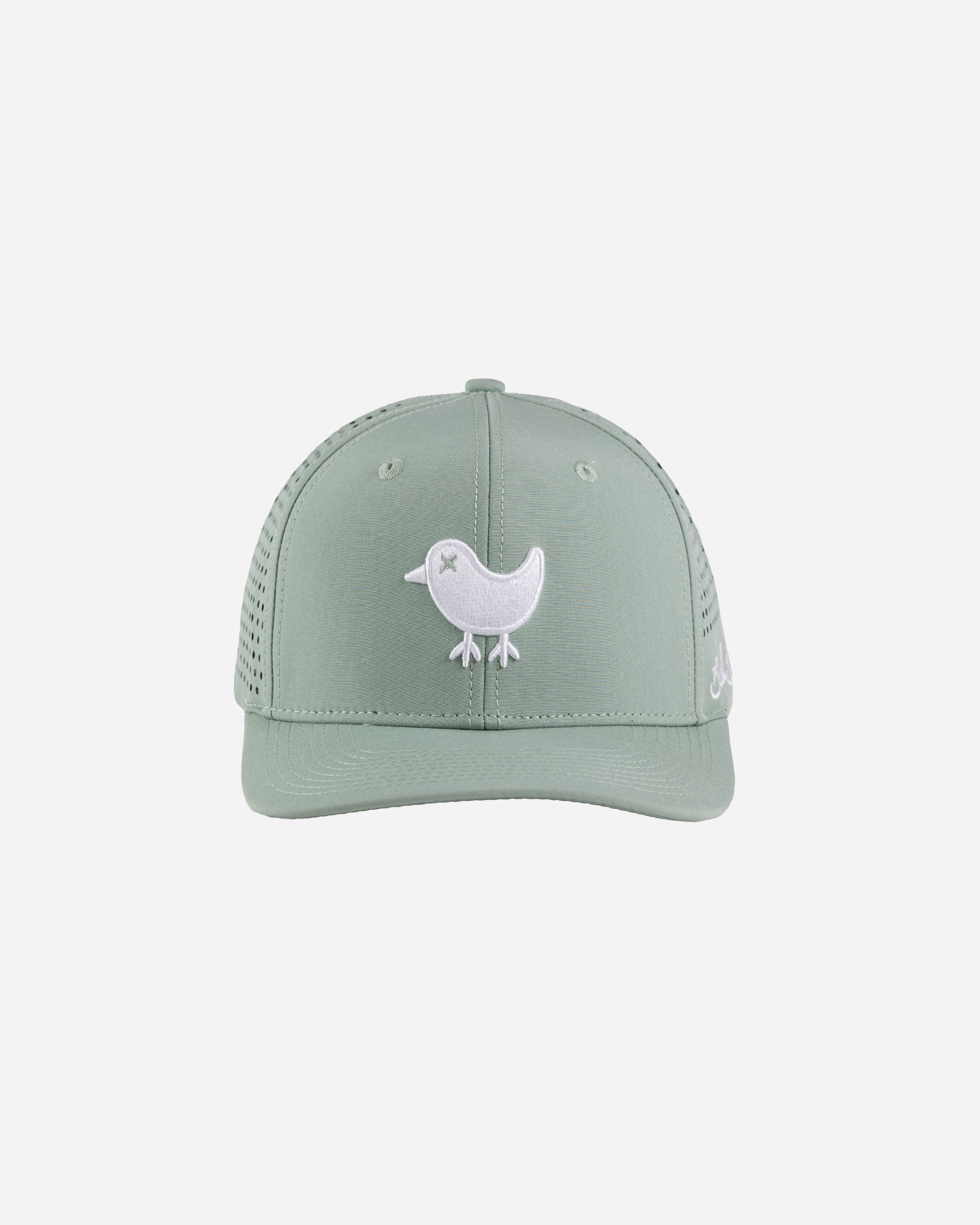 Birdie Snapback - Washed Sage-Hat-Bad Birdie
