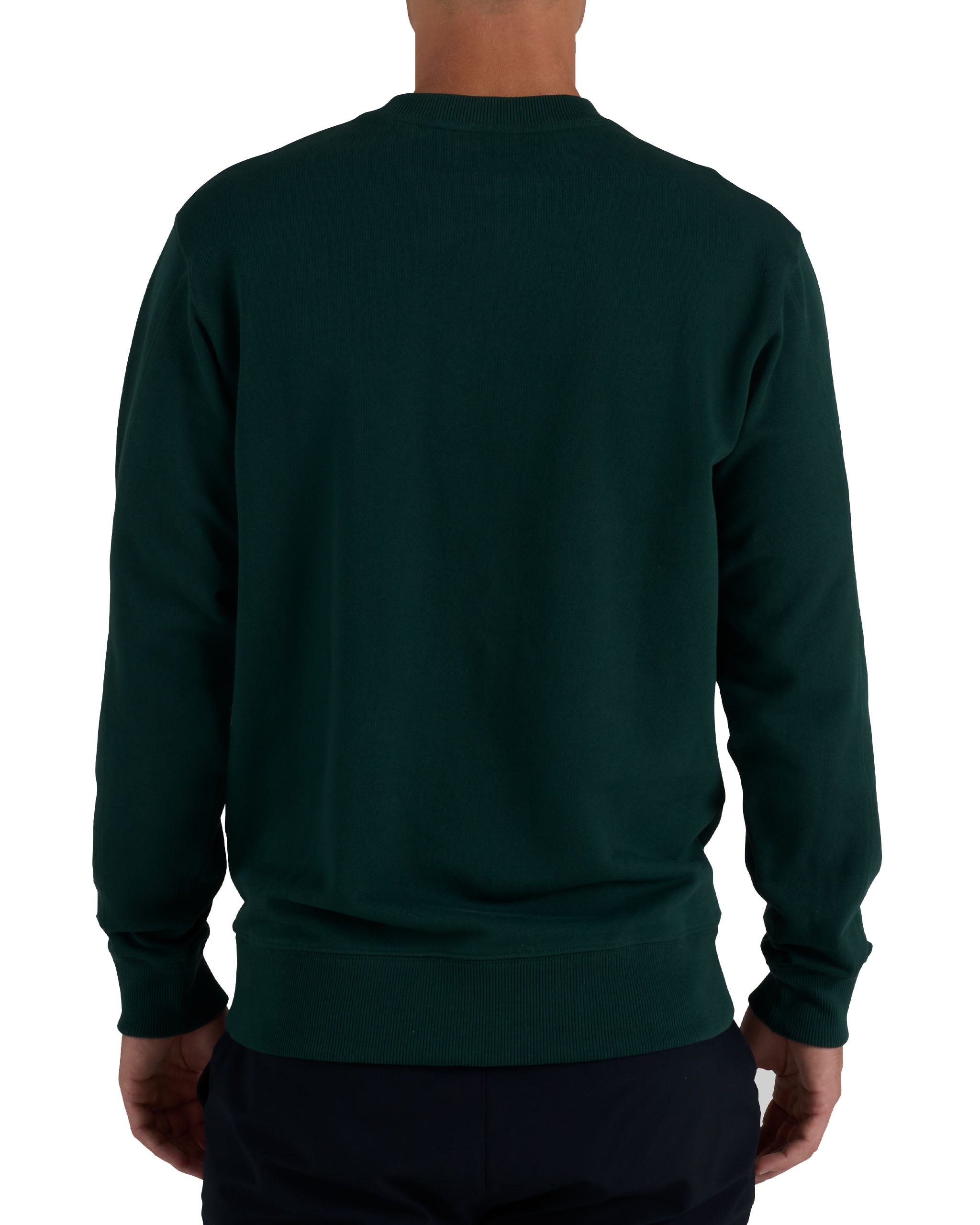 Amateursland Icons French Terry Crewneck – Bad Birdie