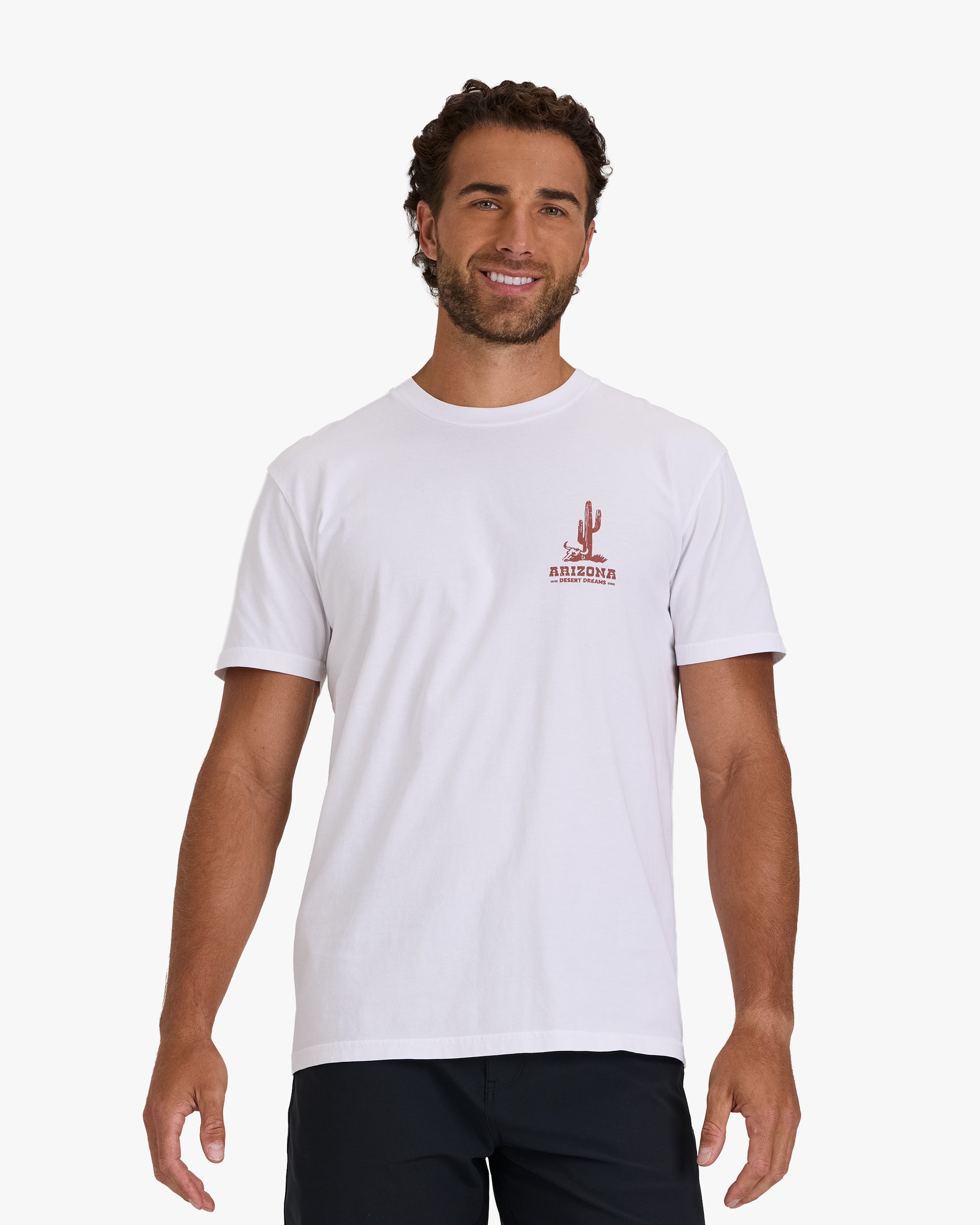 Graphic Tee - Desert Dreams-Men's T-Shirt-Bad Birdie